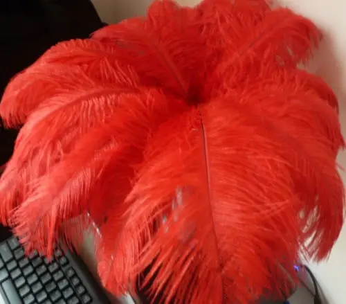 20 шт натуральные перья страуса 8-10 дюймов/20-25 см свадебные декоративные страусиные перья волос Южная Африка - Цвет: Red