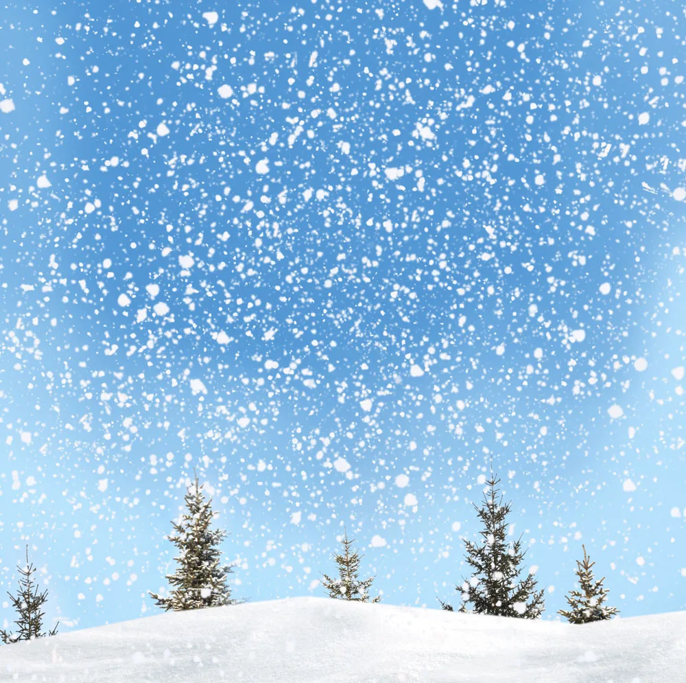 

10x10ft Snow Vinyl Backdrops Props for Photography  Photo Studio  Background TSN-20