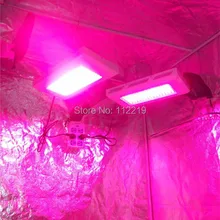 Парниковых расти палатку 120* 120* 200 см номера- токсичных крытый культурные растения DHL / FEDEX