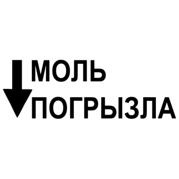 

CS-1275# Moth nibbled funny car sticker vinyl decal silver/black for auto car stickers styling