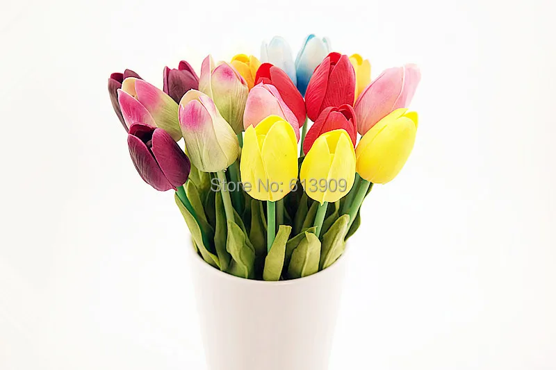 SAM_6495