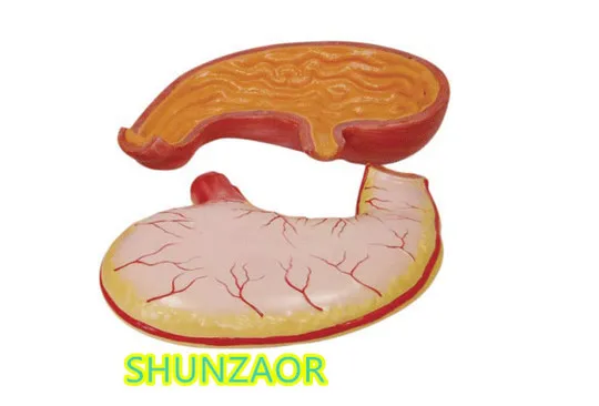 2_
