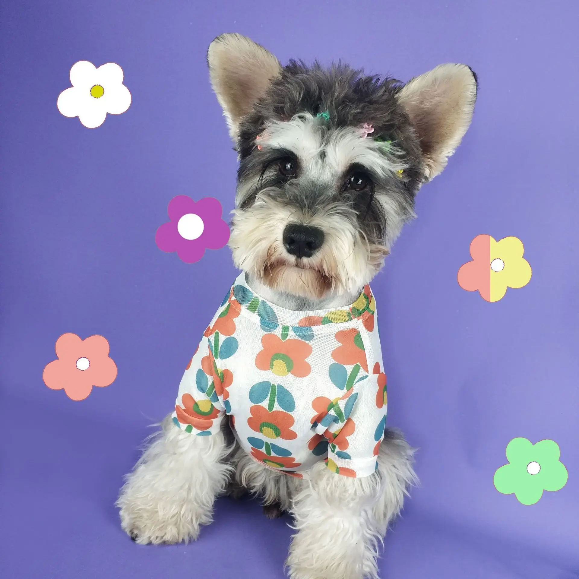 

Printed Dog Sweatshirt,Summer Pet Sweatshirt Cute Flower Pattern For Bulldog Yorkshire,Breathable T-Shirt For Puppy