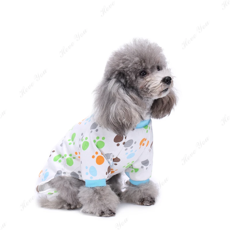 Dog_2090
