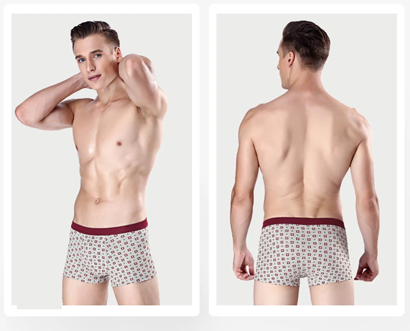 boxer008