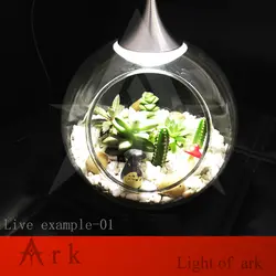 Ковчег свет DIY украшения миниатюрный стеклянной банке светодиодные настольные лампы фея Террариум заливка садовый декор миниатюрный