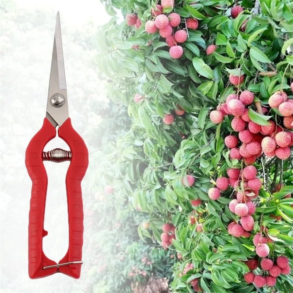 

Quality picking fruit plant pruning scissors leaf portable pruning tools handle non-slip garden hand tool Tailor's Scissors