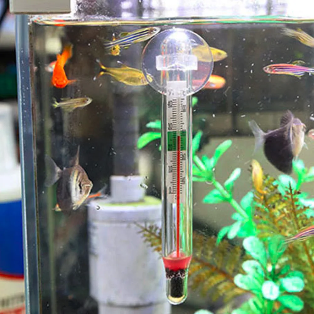 freshwater fish tank temperature