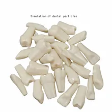 32 PCS / Bag High Quality Resin Simulation Tooth Grain Dental Model For Dentist Exam Preparation Teaching Free Shipping