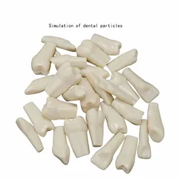 32 PCS / Bag High Quality Resin Simulation Tooth Grain Dental Model For Dentist Exam Preparation Teaching Free Shipping