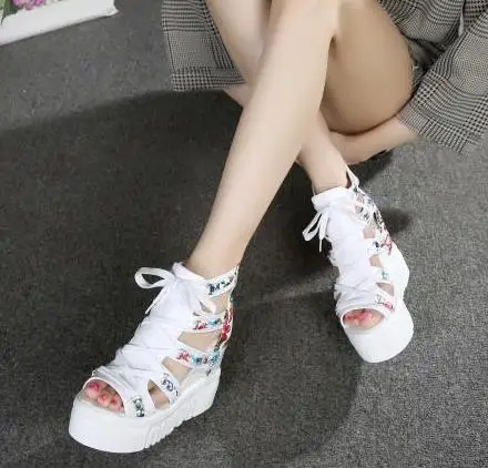 36020190218095618174