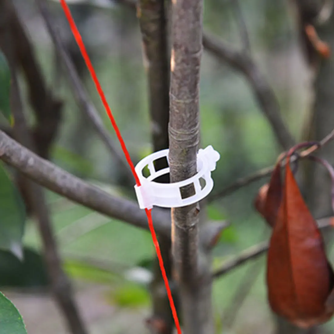 

Hot 100Pcs Plant Vine Tomato Stem Clips Supports Connect to Trellis Twine Cages Best Quality