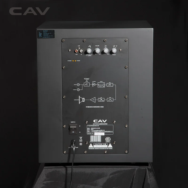 Сабвуфер с глубокими басами CAV DW8 профессиональный активный динамик для
