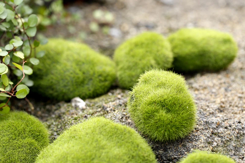 3 шт. искусственный камень Зеленый Искусственный мох, микропейзаж камень Настольный декорация микропейзаж поддельный камень декор аксессуары