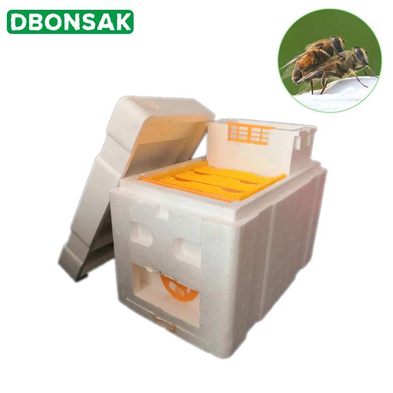 Урожай пчелиный улей коробка Пчеловодство королевская коробка опыление для пчеловодства инструмент для пчеловодства домашний улей коробка оборудование для пчеловодства