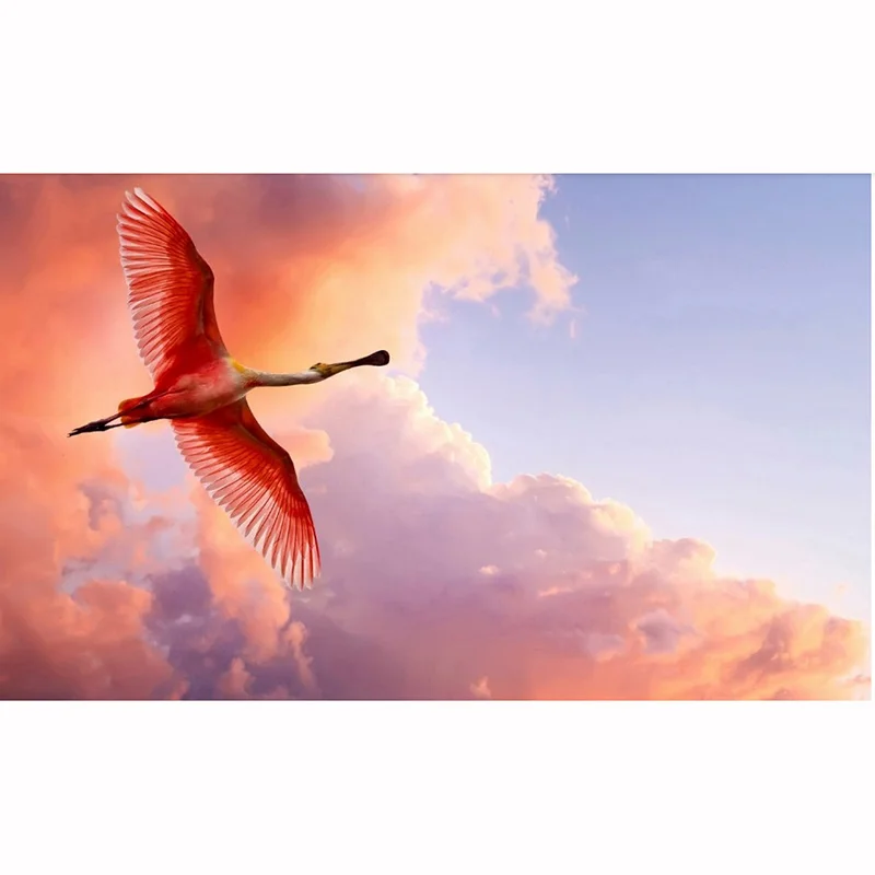 

YIKELA 5d Diy Animal Crane Diamond Painting Full Drill Square Accessory Wall Decor Handmade Display Kits Free Frames Embroidery