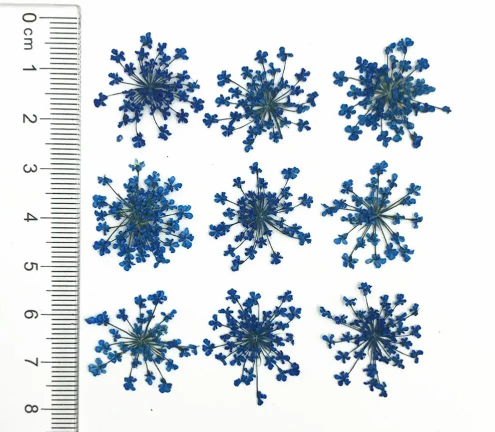 60 шт прессованный высушенный Orlaya gran Flower сухие растения для дизайна ногтей эпоксидная смола Макияж Лицо Кулон Ожерелье Изготовление ювелирных изделий - Цвет: Темно-синий