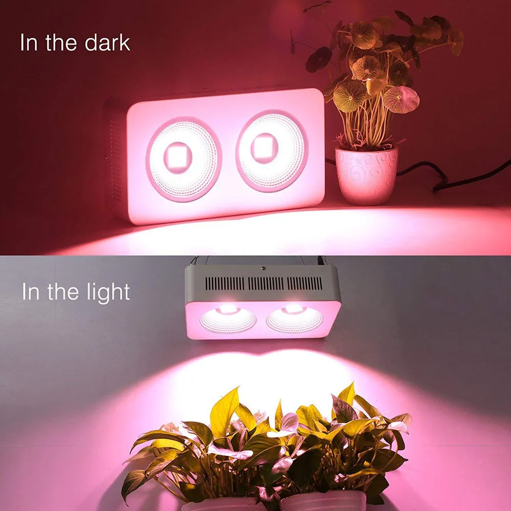 COB plant grow light (2)