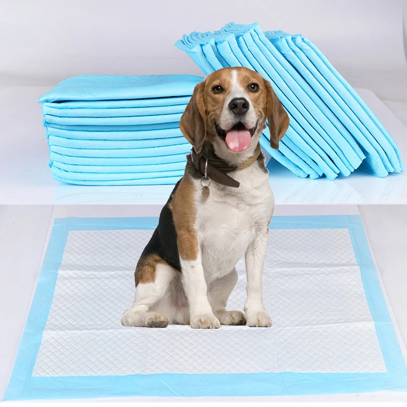 Buy Super Absorbent Pet Dogs Training Urine Pad