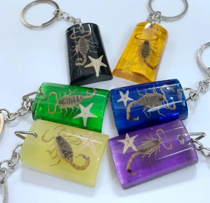 12 pcs new shaped keychain with gold scorpion starfish magic jewelry | Украшения и аксессуары
