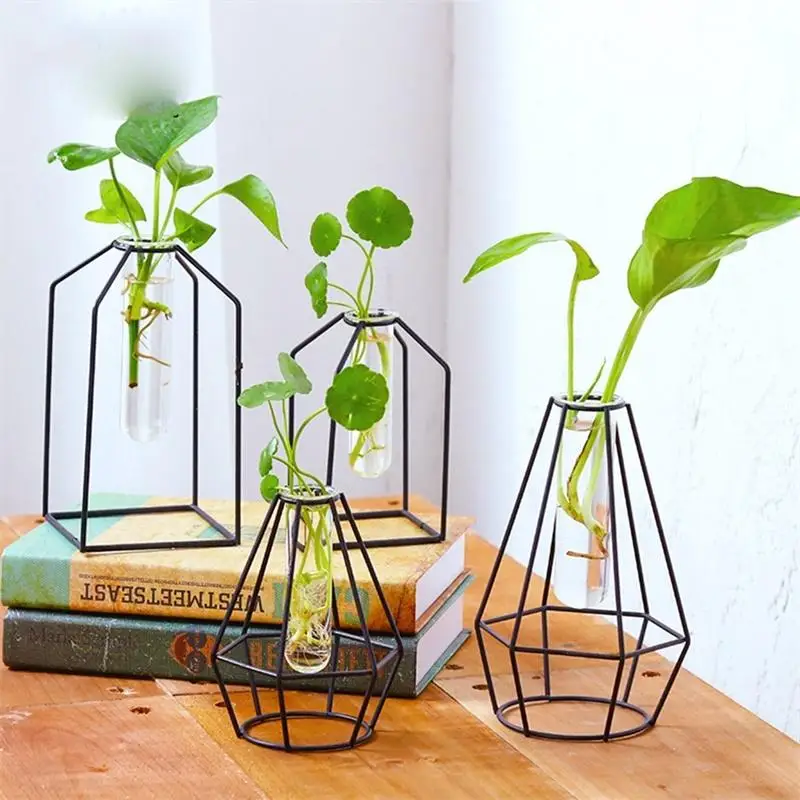 Lanlan Transparent Glass Tube Vase With Iron Stand For Water