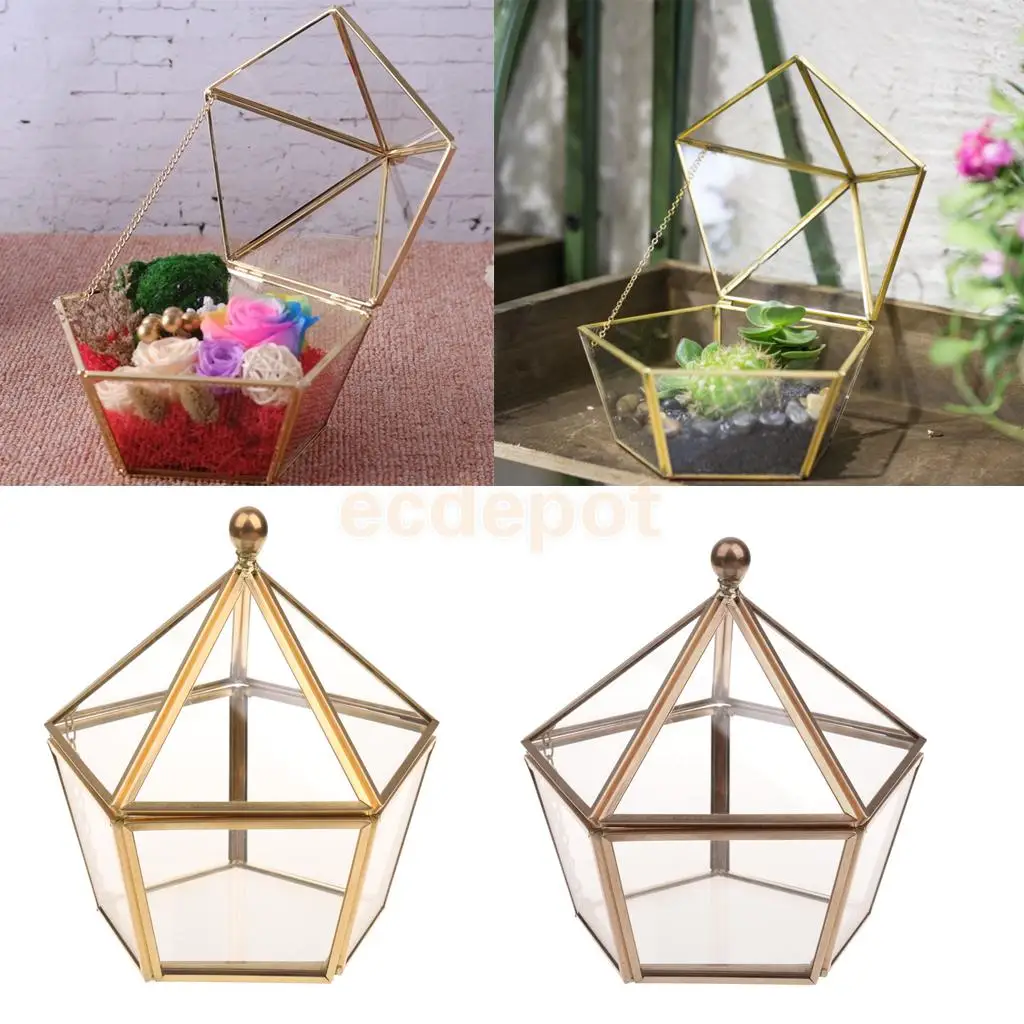 

Geometric Terrarium Faceted Tabletop Succulent Plants Air Planter