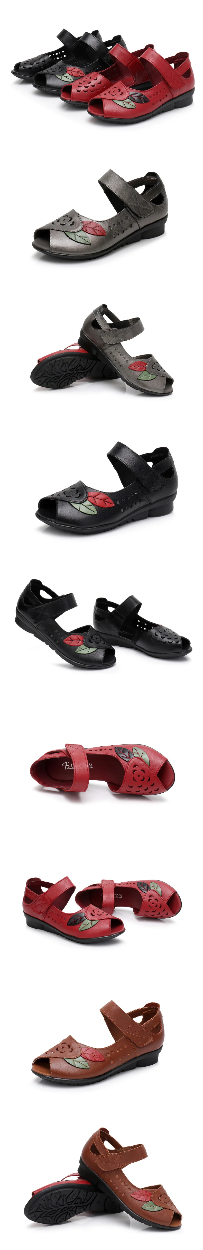 8630752612_1449132024_2