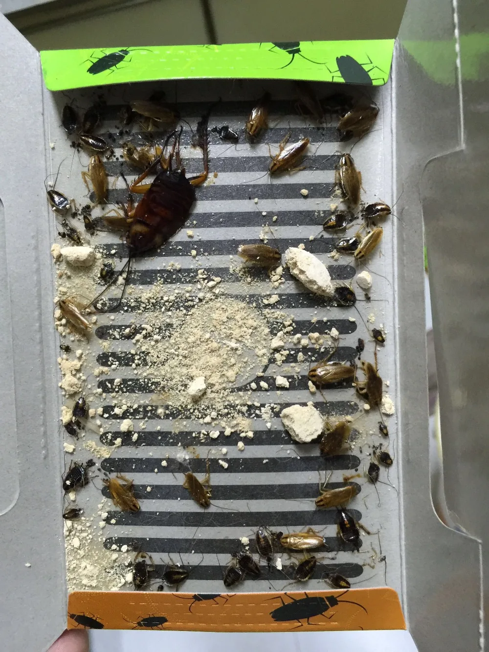 Buy Mr.Bug Cockroach Bait Killer Trap Anti Pest Cock