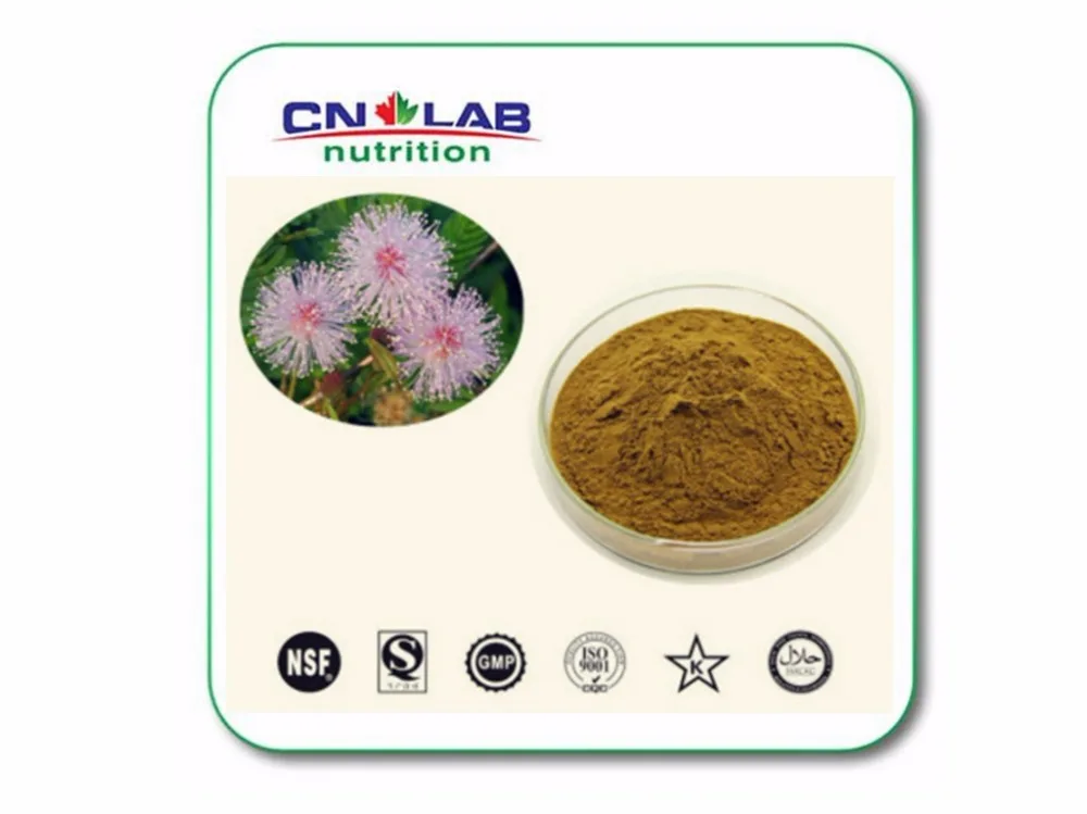 

Factory supply mimosa hostilis root bark extract 20:1 1 kg