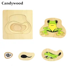 Candywood материалы montessori познавательная животный мир, растение процесс роста головоломки для детей, для ребенка, обучающие игрушки