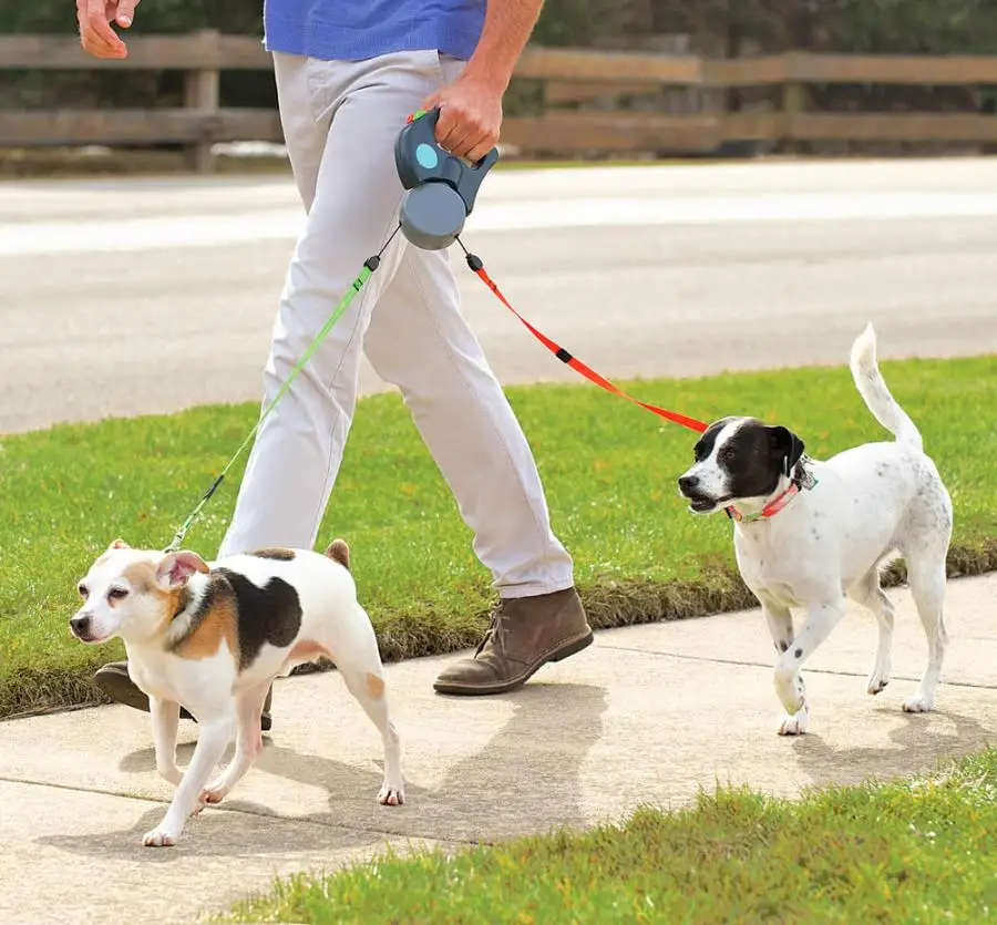 dual retractable leash