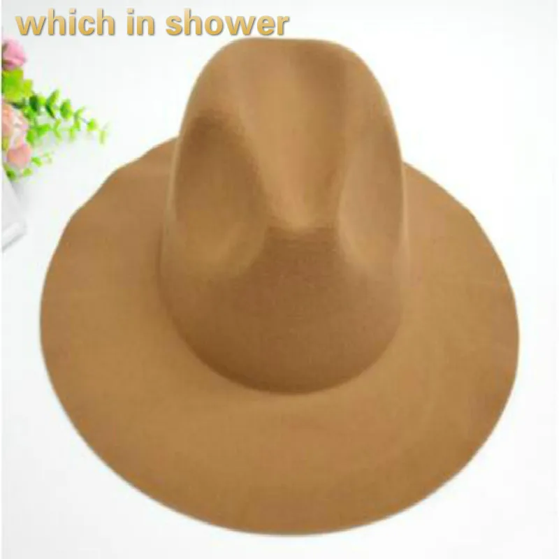 

which in shower wool fedoras for women solid color wide brim winter hat fashion female cap flat panama warm felt sun hat gorras