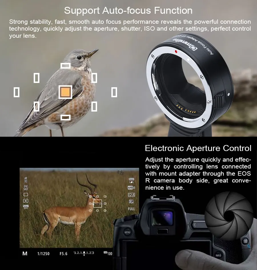 canon lens adapter (4)