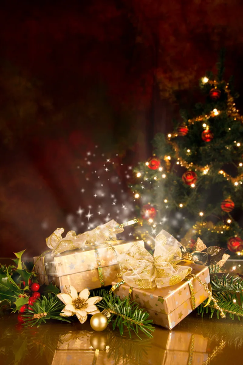 Baby Children Photography Backdrops,Customize photo background for studio portraits photoshoot,Christmas photo backdrop D-3374