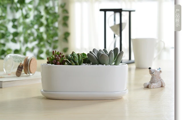geometric white planter pot