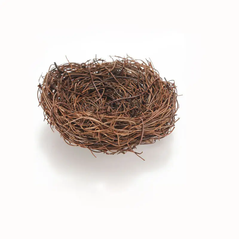 Image result for brown nest"