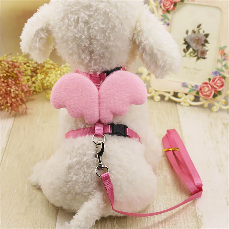 Cute Angel Wing Pet Dog Leashes and Collars for Small Dog Cat Harness
