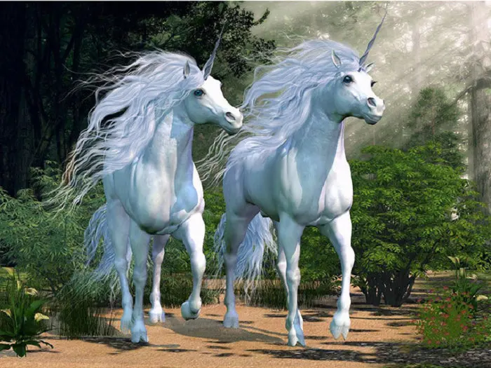 5D-DIY-full-Square-Round-Drill-diamond-painting-Cross-stitch-Unicorn-Lover-Rhinestone-embroidery-Home-Mosaic.jpg_640x640