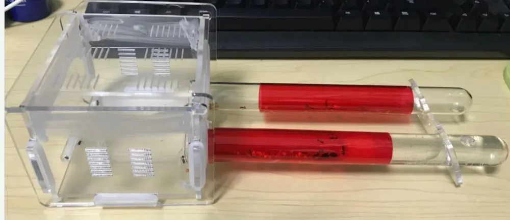 2-tubes-ant-nest (9)