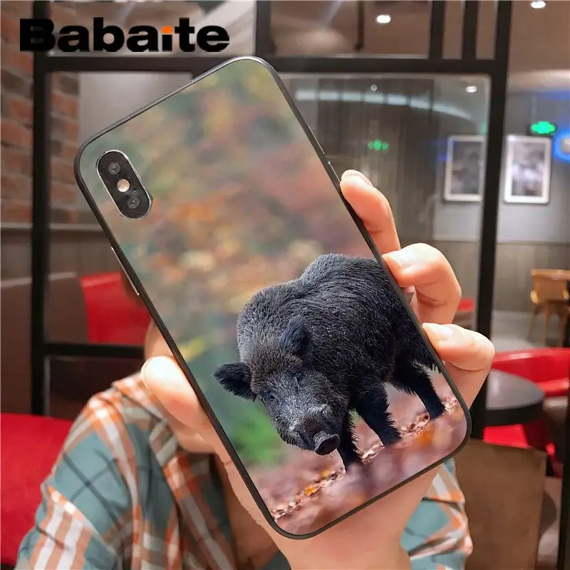 Wild Boar pig animal