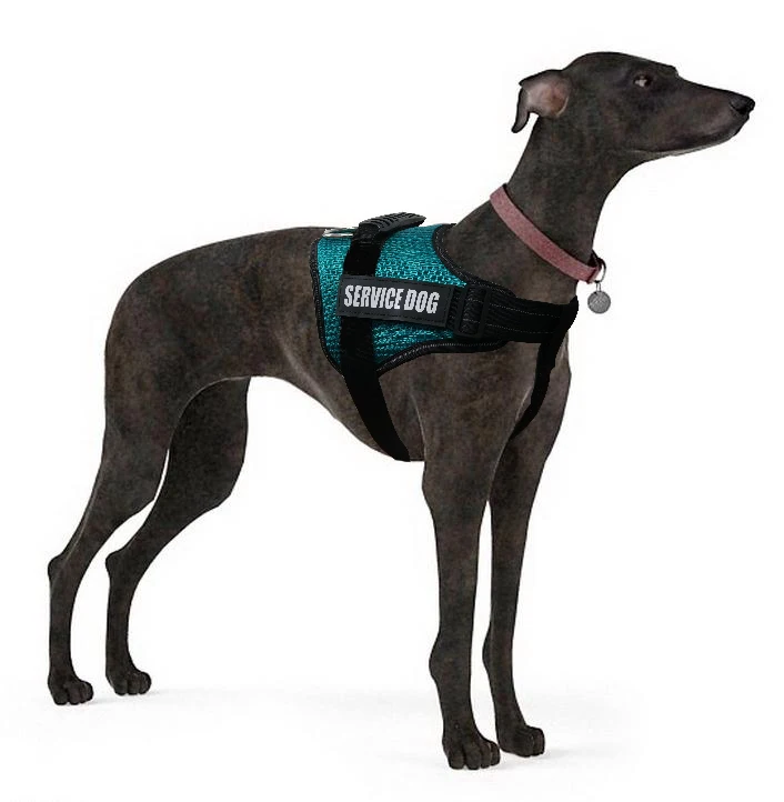 PET-K9 поводок для собак, сервис жилет для собак, дышащий рабочий поводок для собак для легкой ходьбы, тренировок, походов