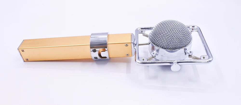 Dragonfly style professional studio computer vocal