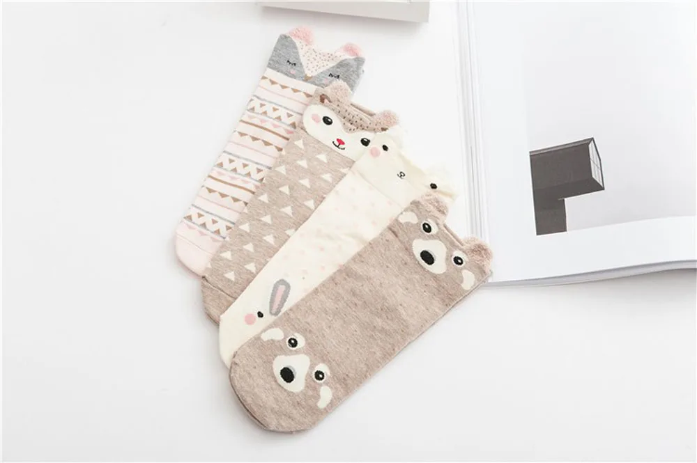 HTB14y5oNFXXXXXaXFXXq6xXFXXXm