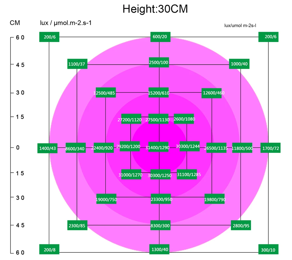 30cm