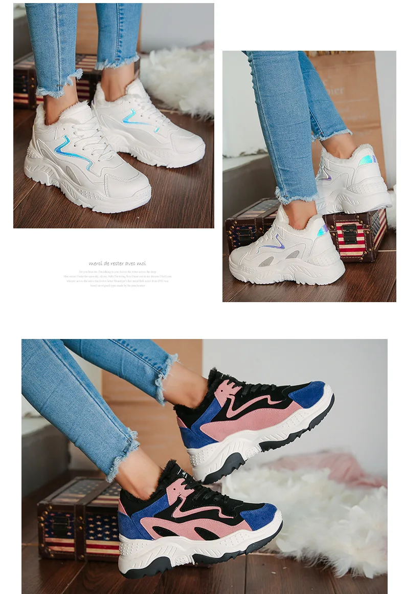 ZL- (5).jpg