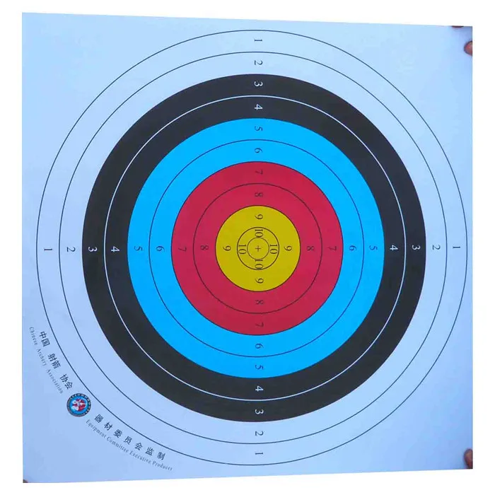 

10PC Shooting Target 10 Rings Colorful Rainbow Archery Arrow Target Sheet For Competition Training Shooting and Hunting 60*60cm