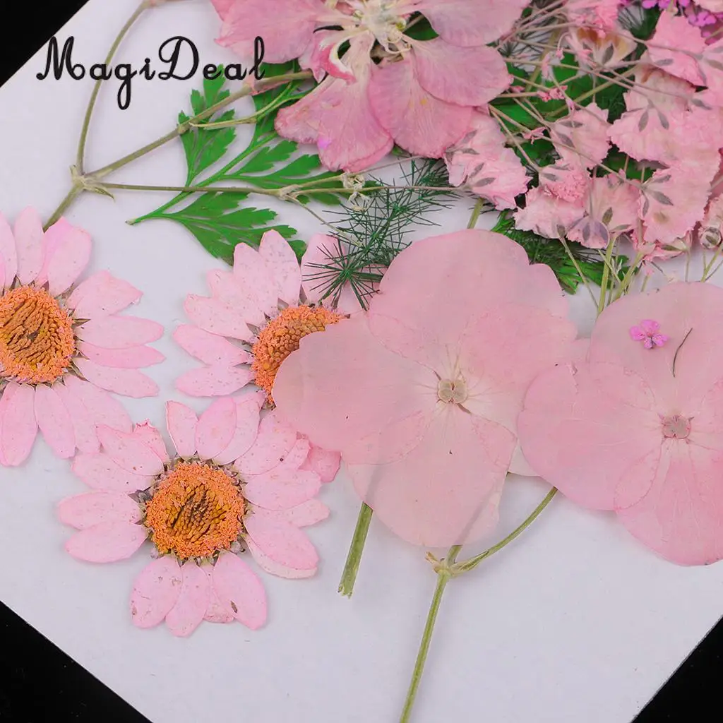 Beautiful Multiple Real Pressed Leaves Natural Dried Flowers for Art Craft Scrapbooking Card Making  Resin Jewelry Craft DIY