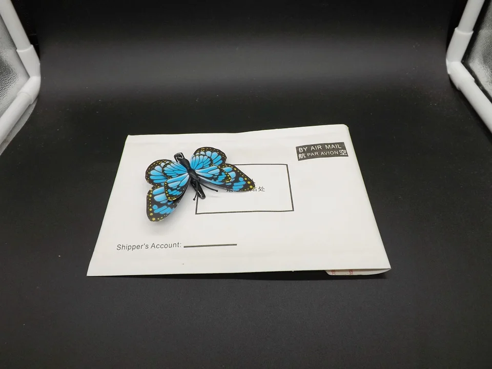I282-Butterfly (13)
