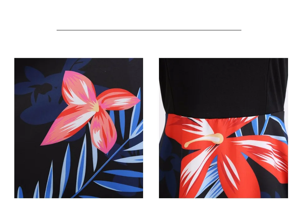 45031551423253669