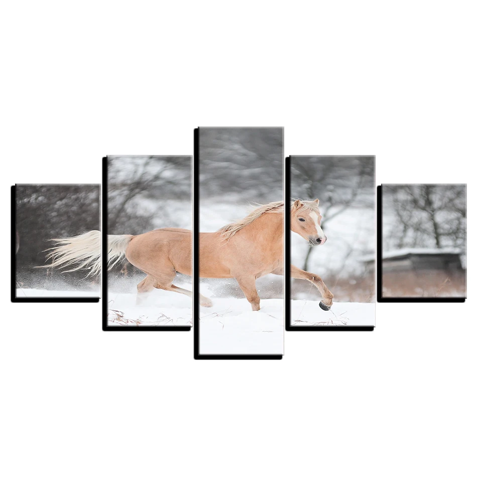 HTB1GZ5_XZbI8KJjy1zdq6ze1VXas